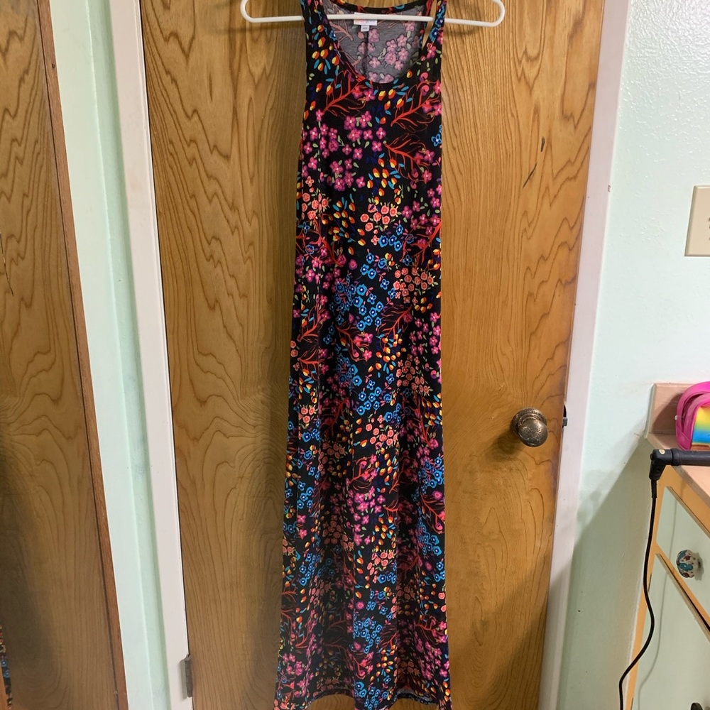 Lularoe Dani floral dress